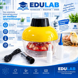 (Incubateur réf: 713)