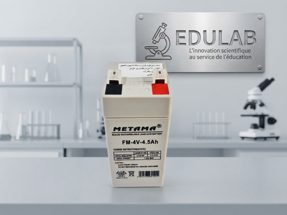 ( Ref : BAT07 ) BATTERIE RECHARGEABLE POUR BALANCE